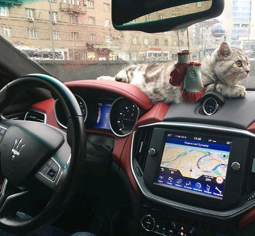 За рулем Мазерати