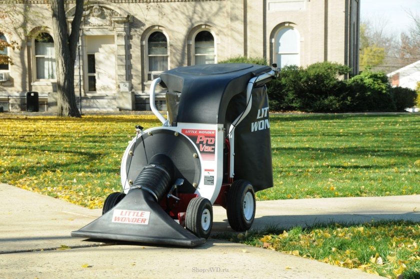 Уличный пылесос City Ant Electro