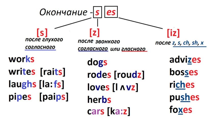 Правила окончания s и es в английском