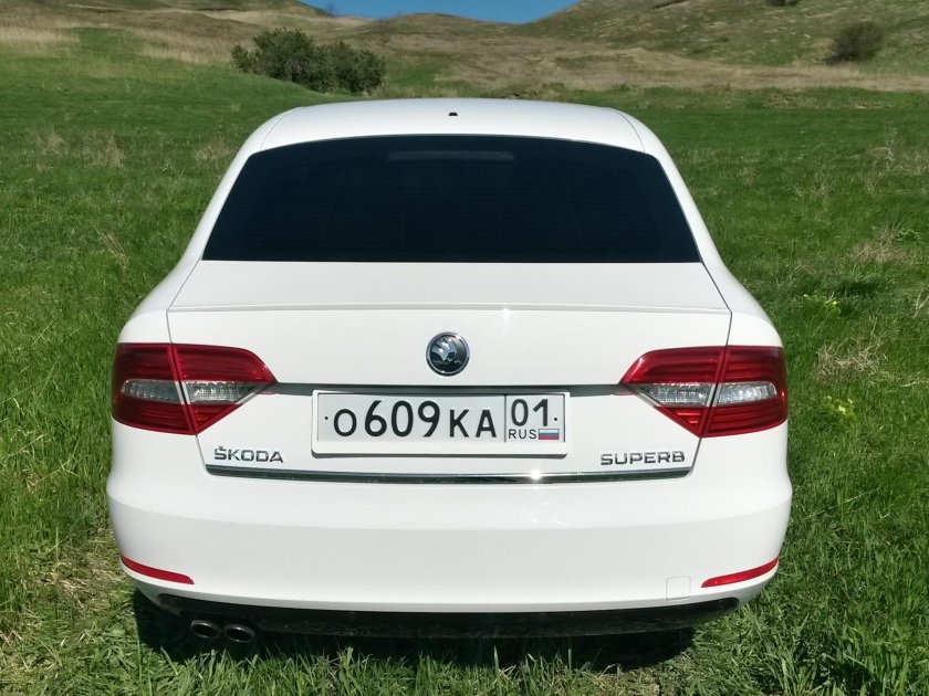 Шкода Суперб 2014 сзади