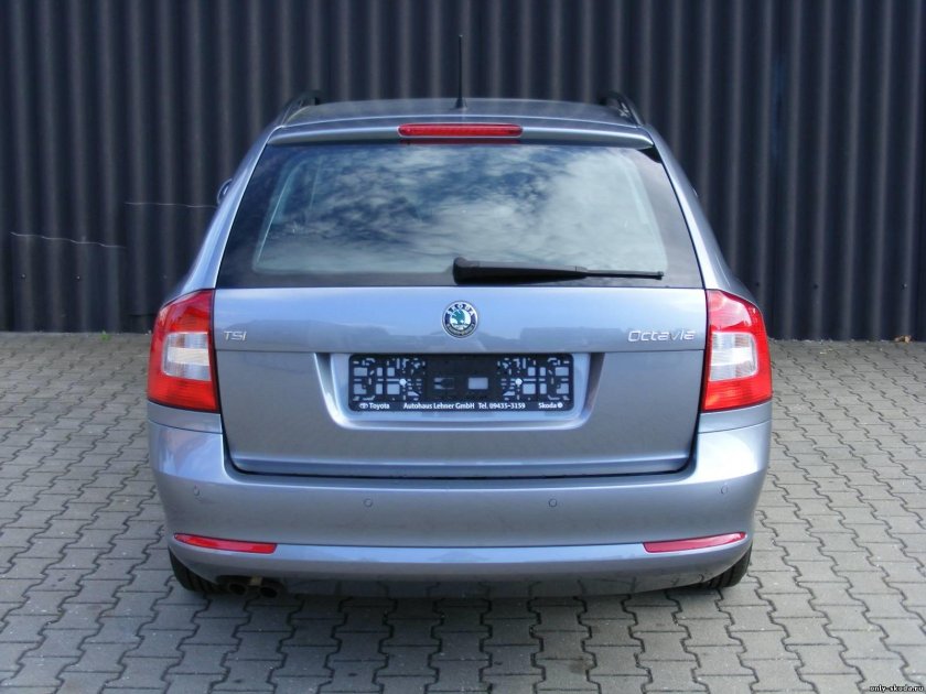 Октавия а5 сзади