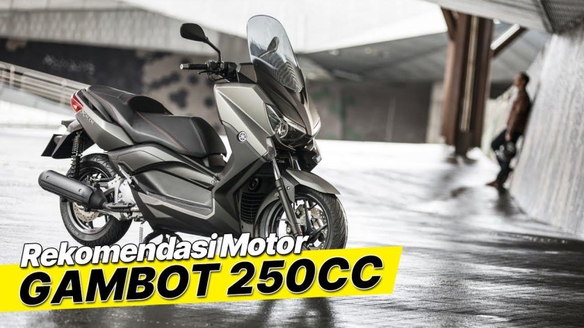 Yamaha x Max 250