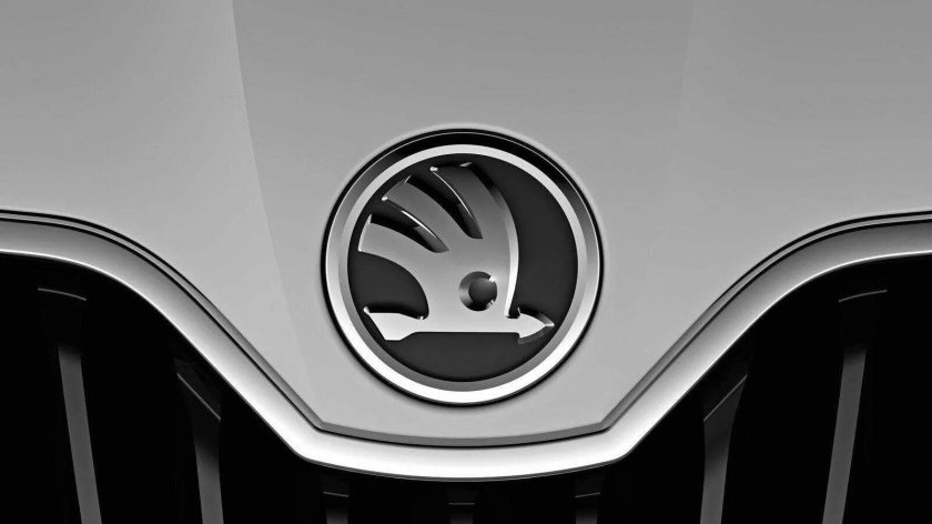 Skoda Emblem