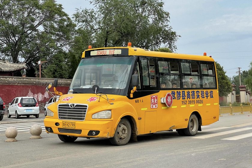 Школьные автобусы