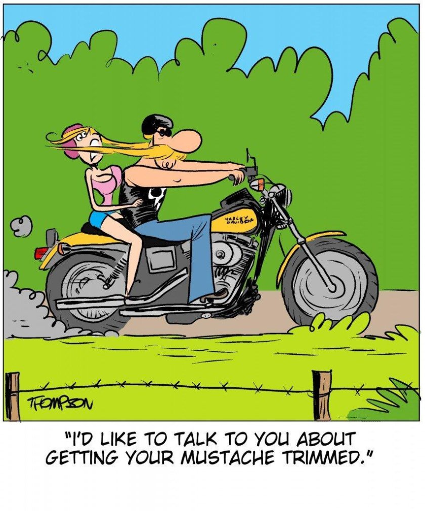 Мото карикатуры