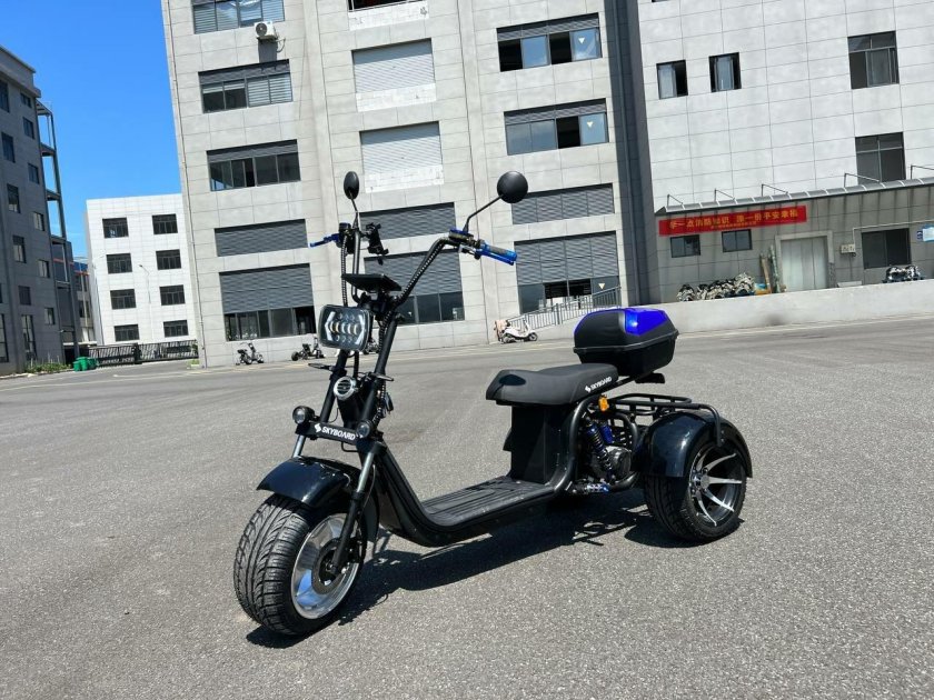 Скутер электрический Skyboard Trike br80