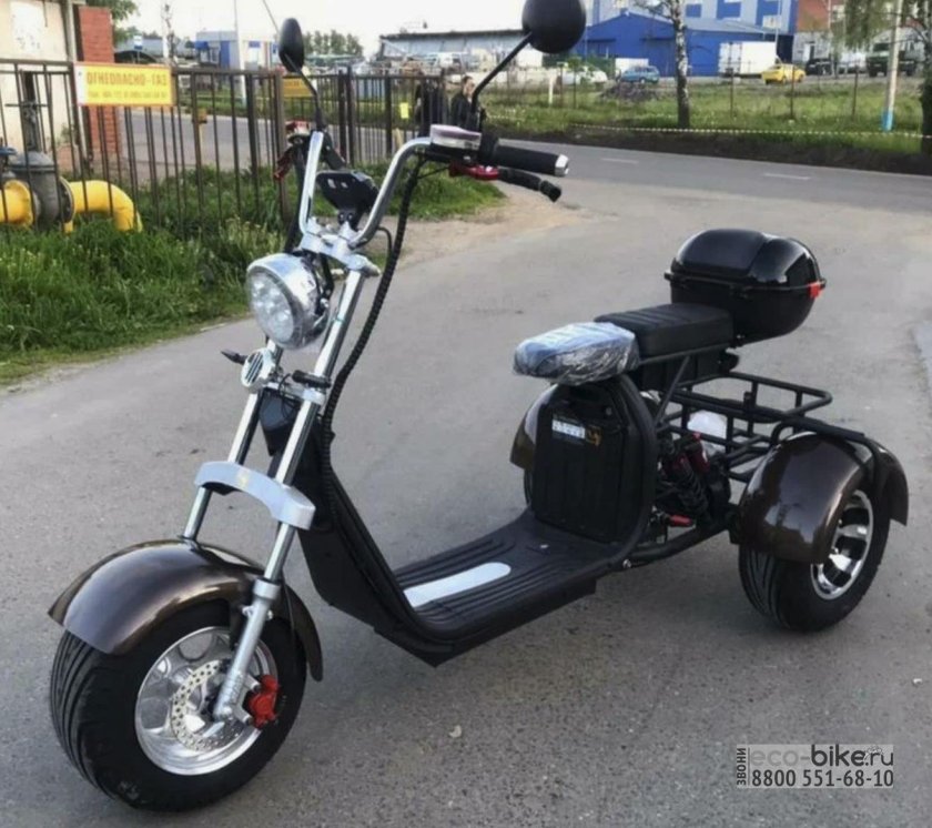 Citycoco Trike gt-x11