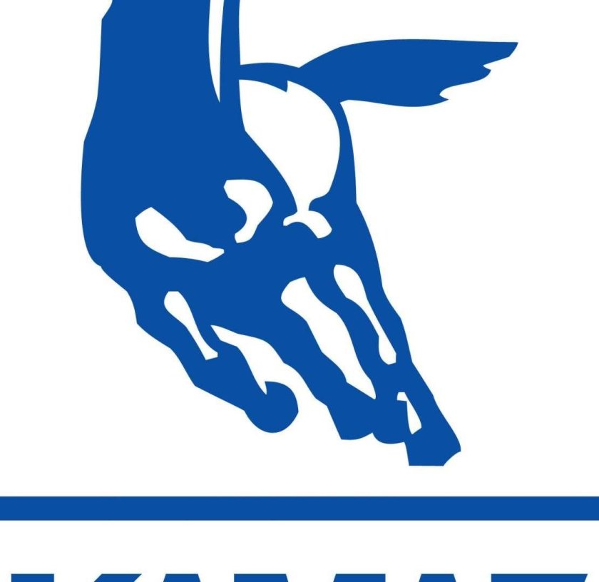 ПАО КАМАЗ лого