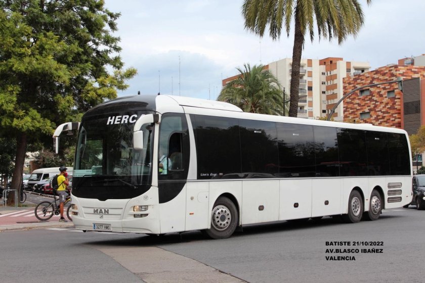 Man r12 Lion's regio ül314