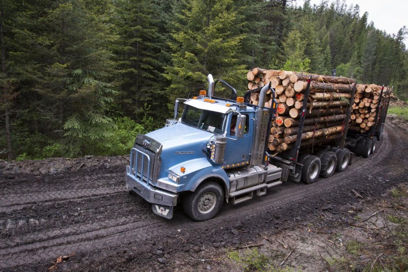 Western Star 4900 лесовоз