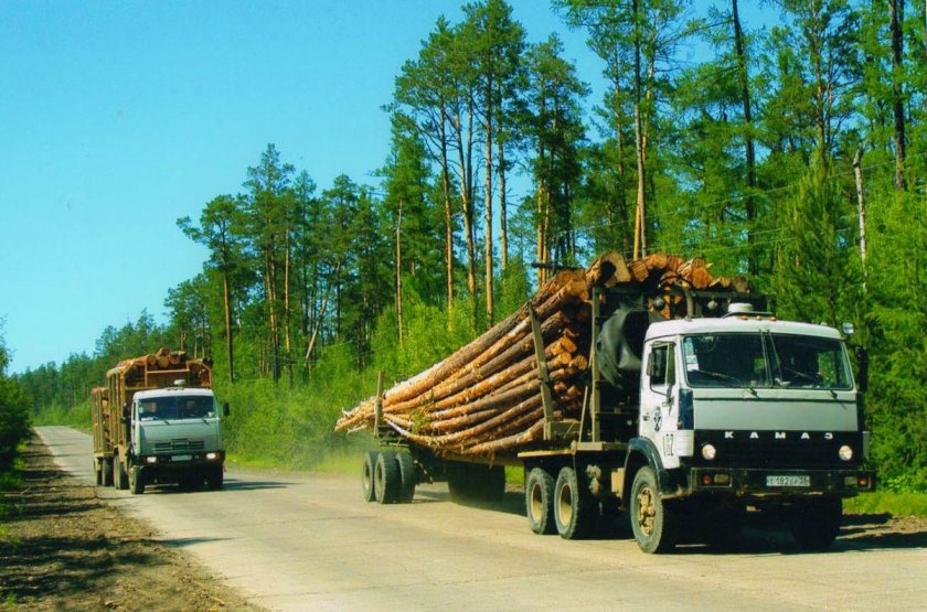 КАМАЗ 5310 лесовоз
