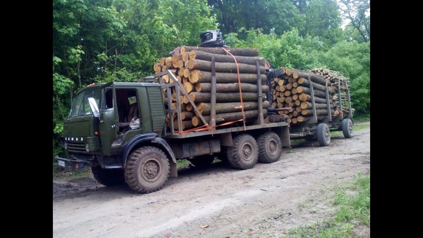 КАМАЗ 4310 лесовоз