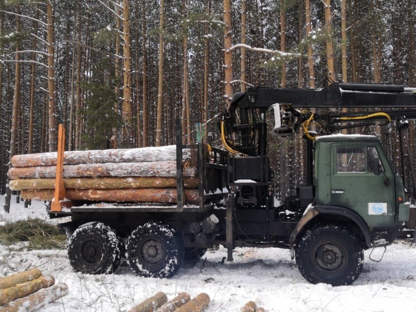 Камаз лесовоз урал