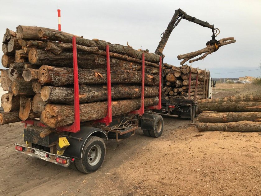 Автомобиль лесовоз