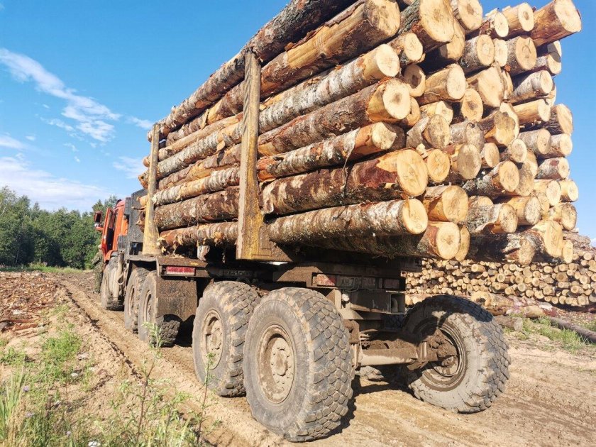 Лесовоз с дровами камаз