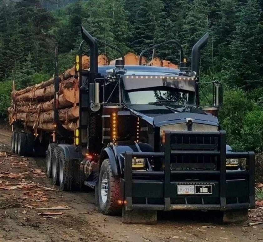 Кенворт т800 лесовоз