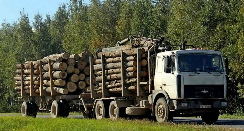 Лесовоз МАЗ 6303 С прицепом