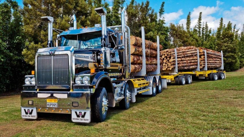 Грузовики Western Star 4800