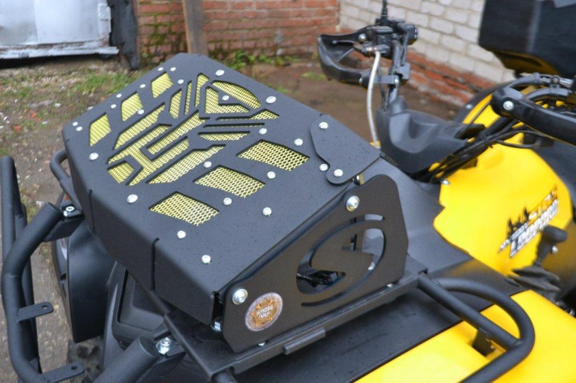 Вынос радиатора стелс леопард