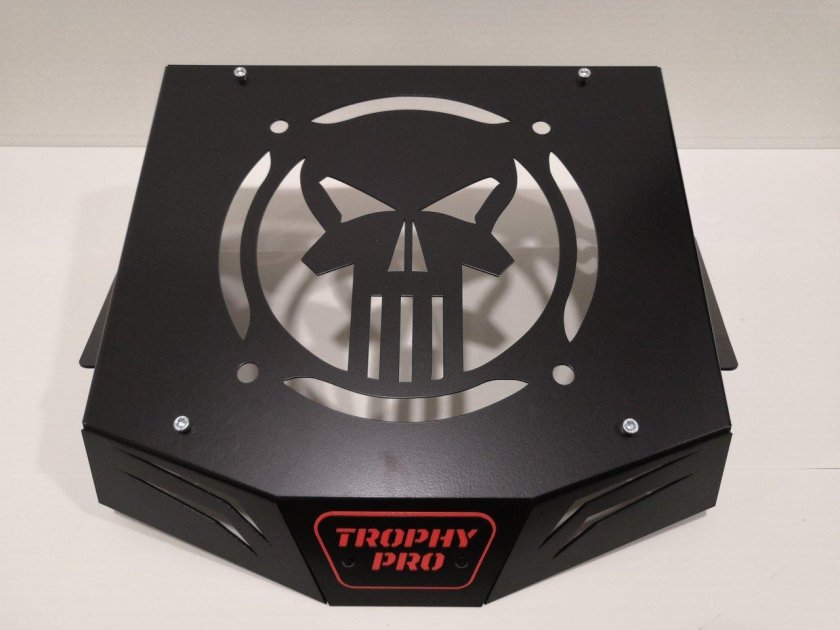 Вынос радиатора стелс гепард 800