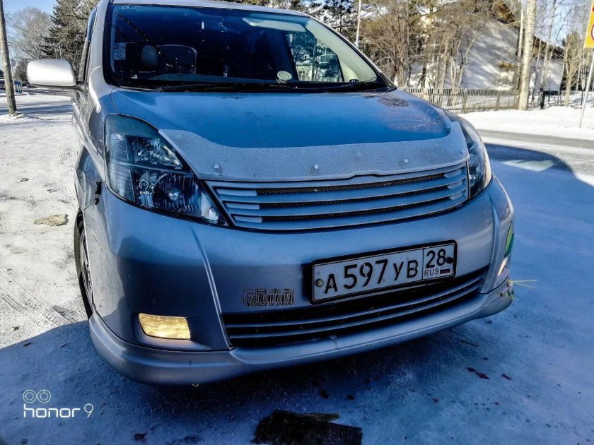 Решетка gialla Toyota Isis