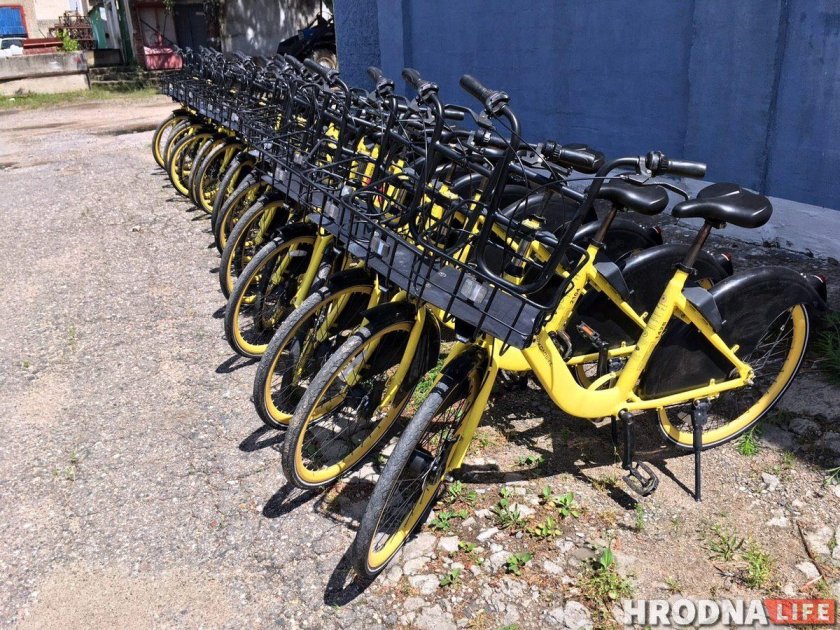 Байкшеринг статья