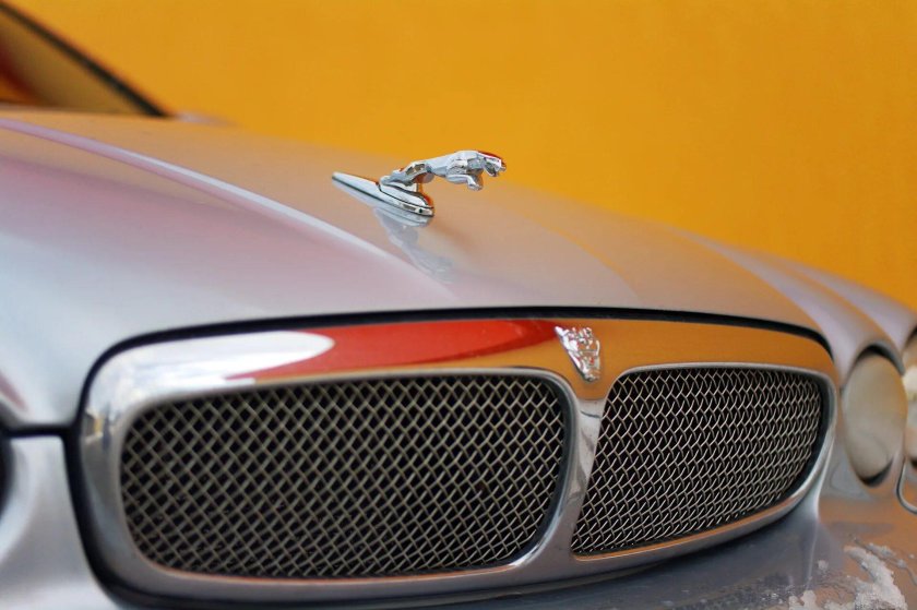 Ягуар на капоте