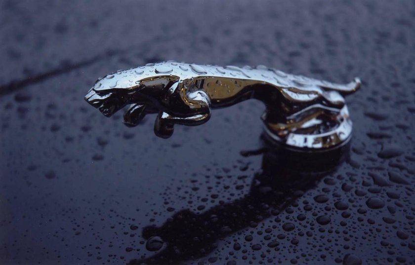 Ягуар на капоте фигурка