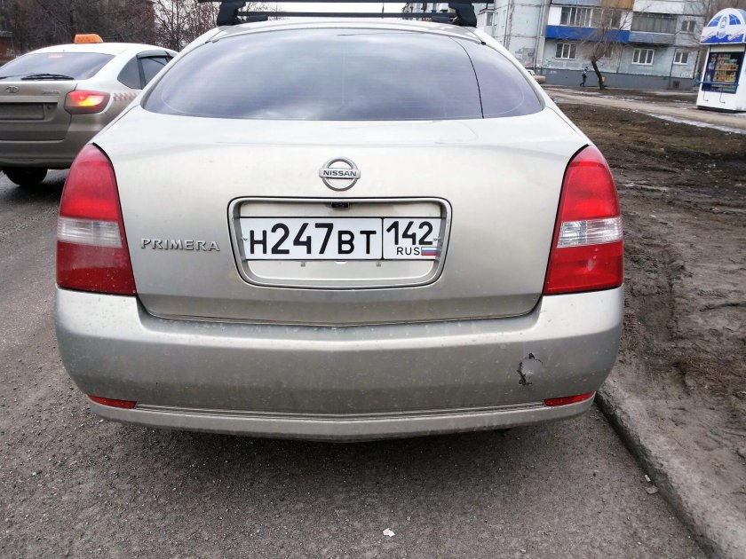 Primera p12 сазди