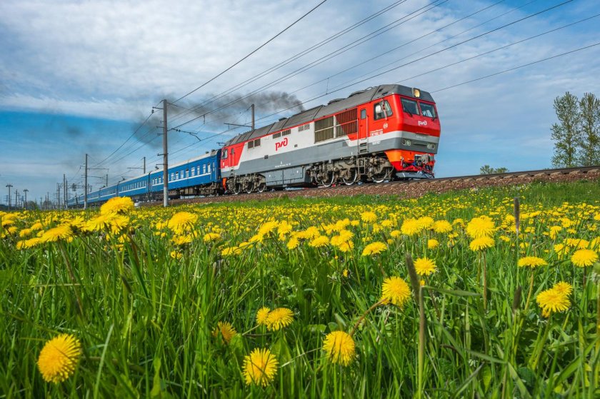 Поезд 079 санкт-петербург калининград
