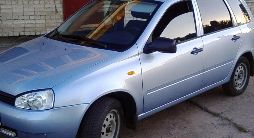 Калина ледяной 413