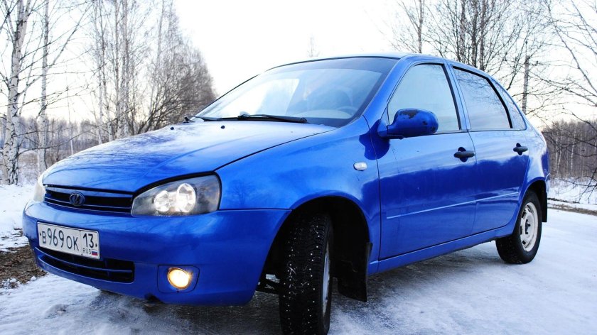 Слива 478 Калина