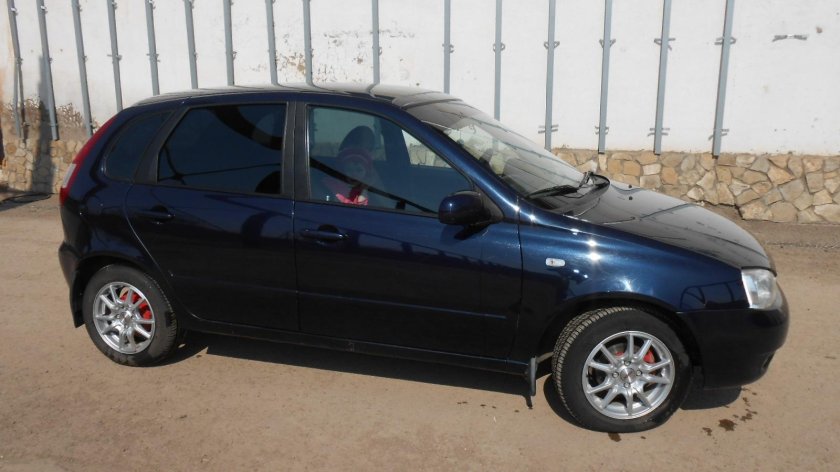 Калина хэтчбек черника 482