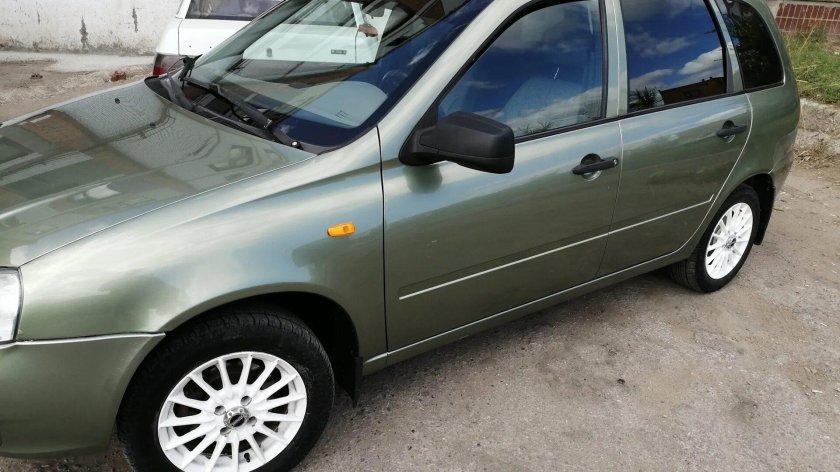 Калина универсал колумбийская зелень