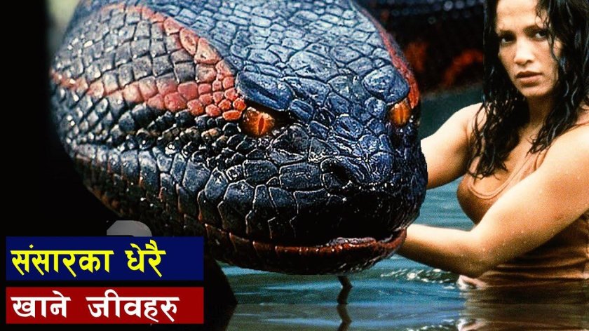 Дженнифер Лопес в фильме Анаконда