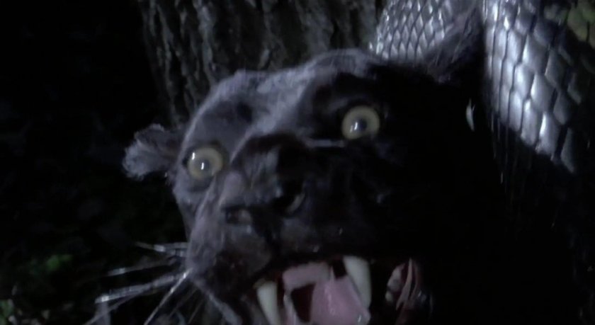 Анаконда фильм 1997 пантера