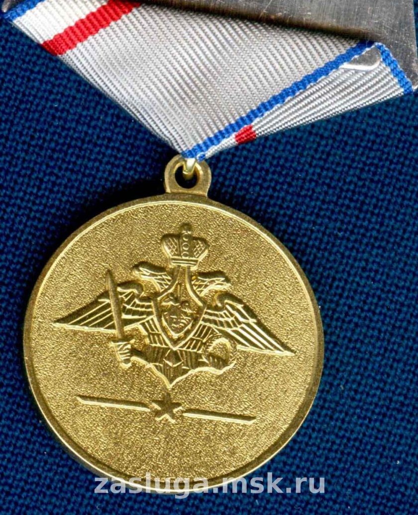 Медаль 100 лет дальней авиации