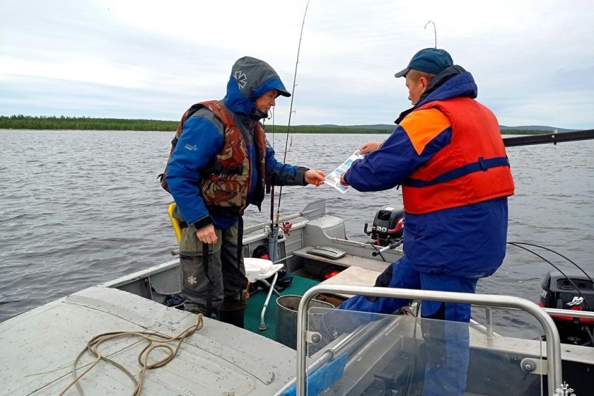 Инспекторы гимс патрулируют