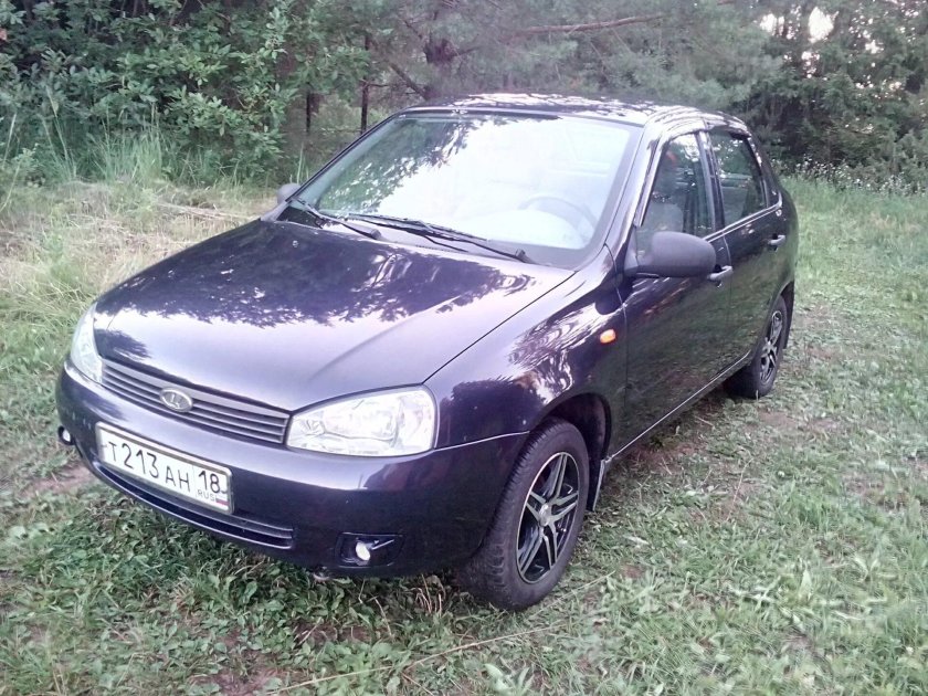 Изабелла 515 Калина