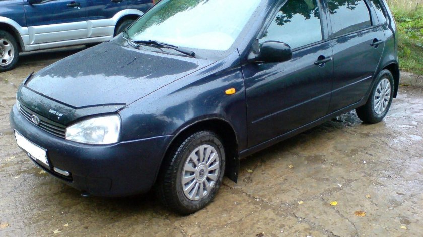 Лада Калина черника 482