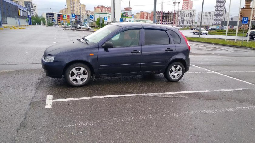 Изабелла 515 Калина