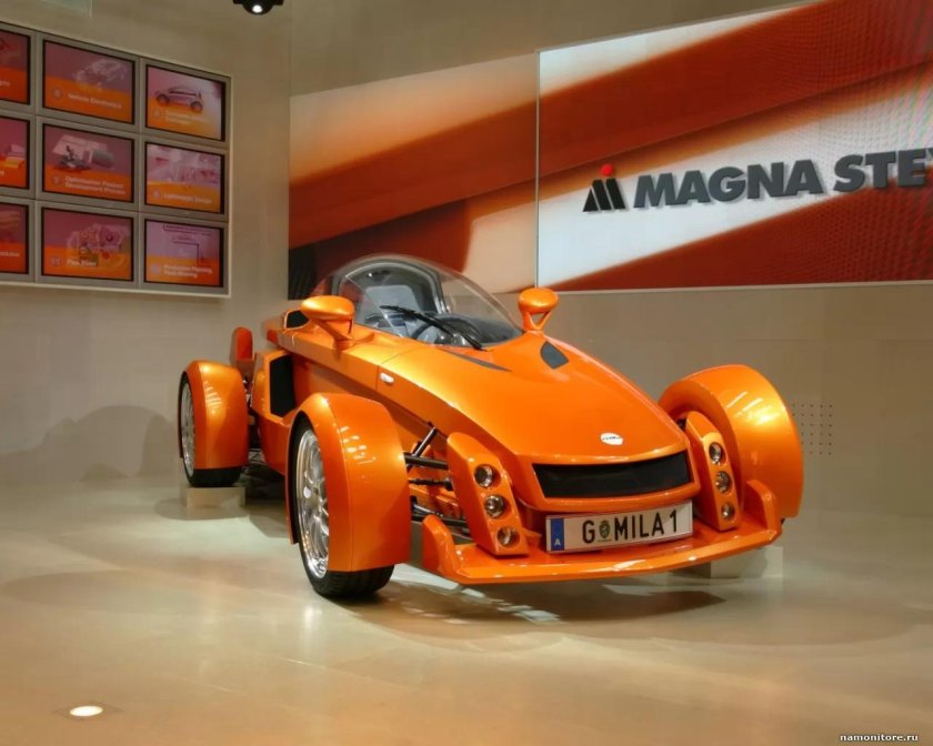 Штаер Магна