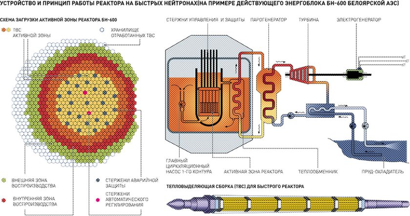 ТВС реактора БН-600