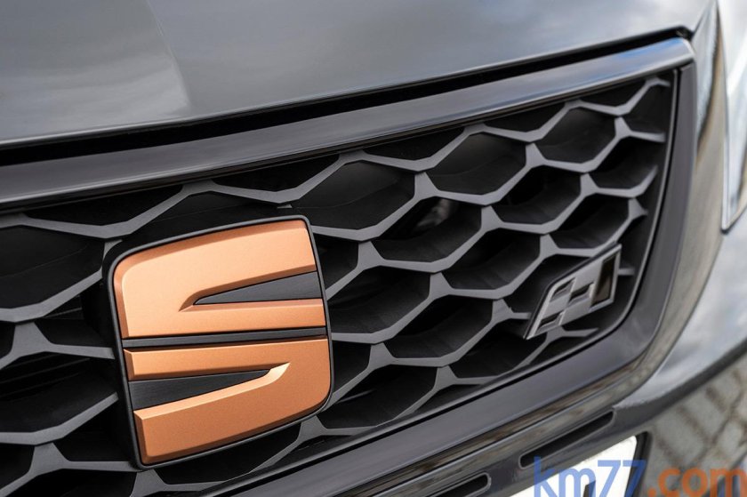 Сеат значок