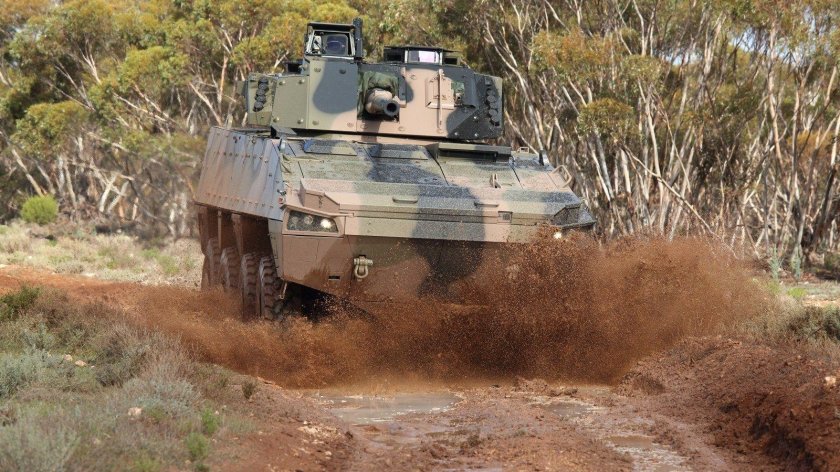 БМП Boxer Land 400