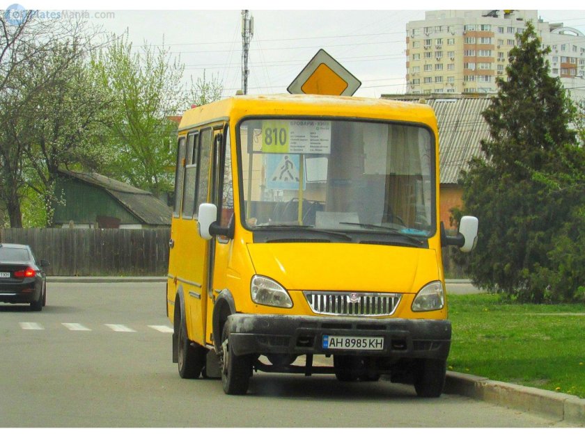 Баз 2215 дельфин