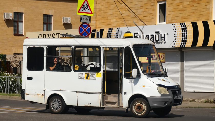 Баз 2215 Дельфин мини