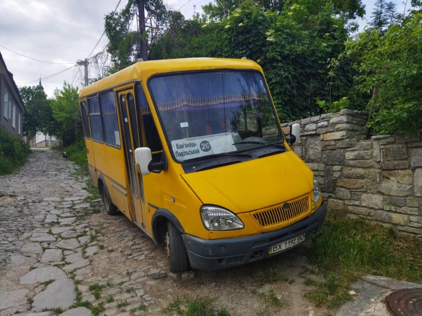 Баз 2215 Дельфин мини