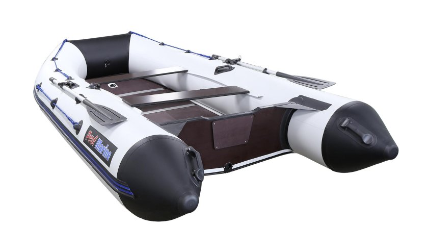 Лодка PROFMARINE