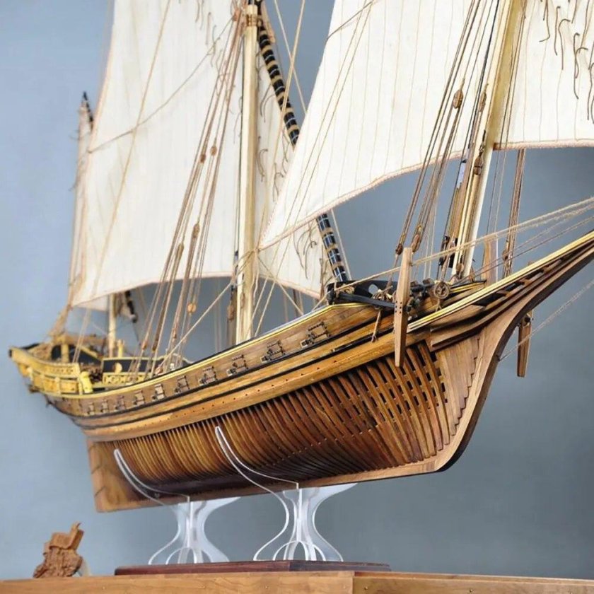 Шебека le requin чертежи